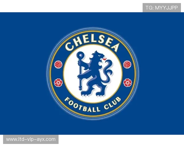 切尔西与意甲俱乐部达口头协议，新援即将官宣