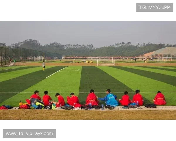 足球联赛在青训扶持中推动俱乐部与科研机构共建训练评估与长期培养平台